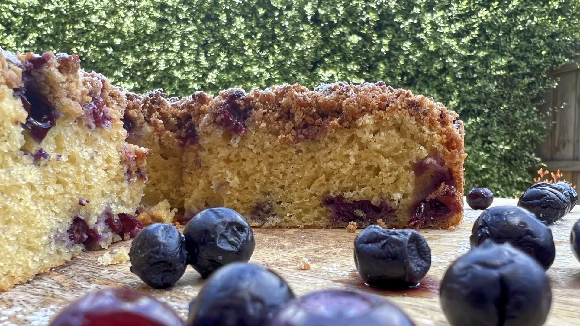 Blueberry Crumble Cake
