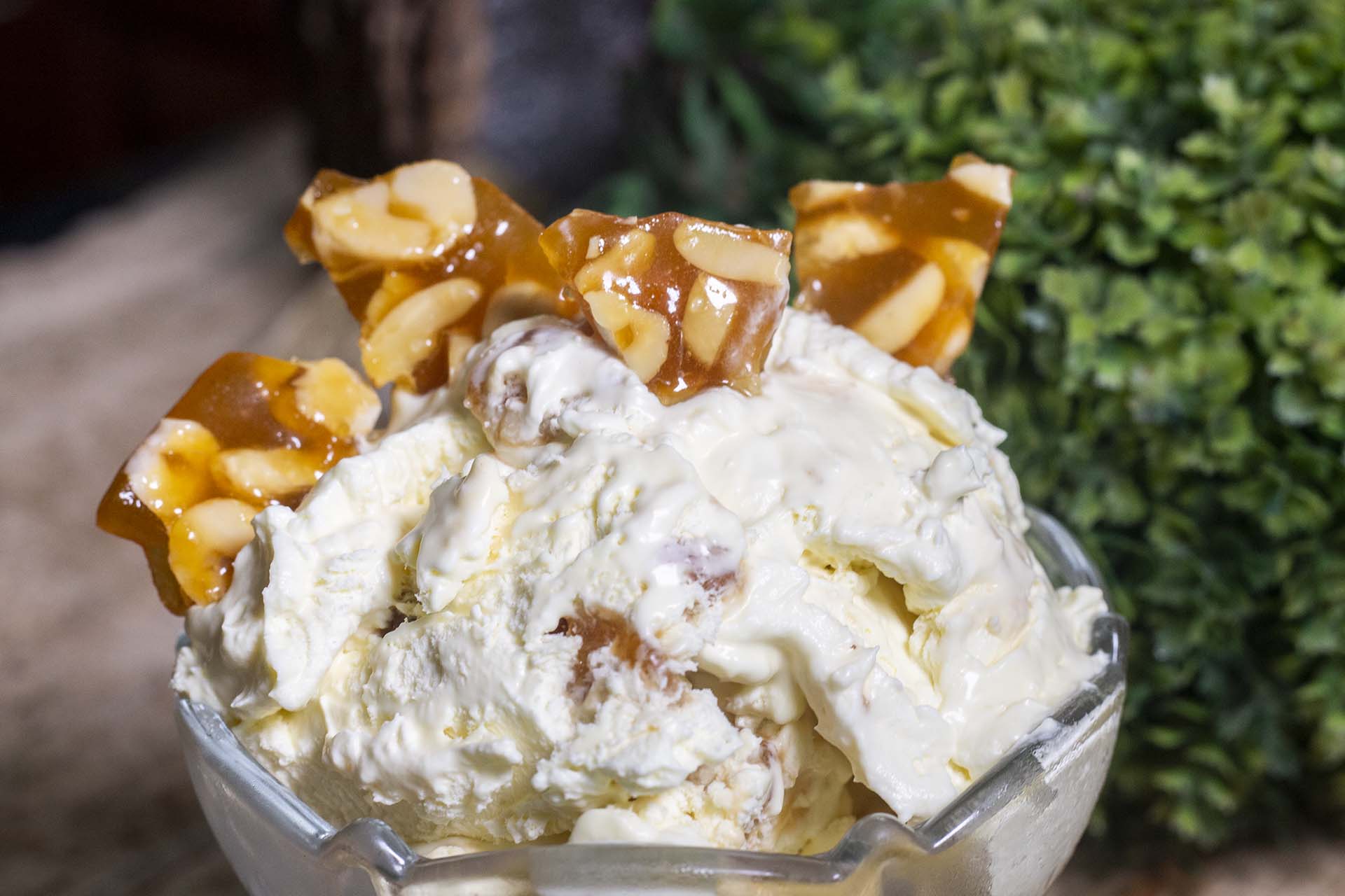 Butterscotch Ice Cream