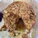 Dried Fruit and Nut Cake for Christmas 