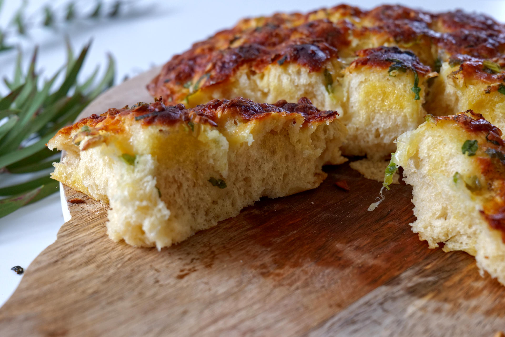 Garlic Mozzarella Bread