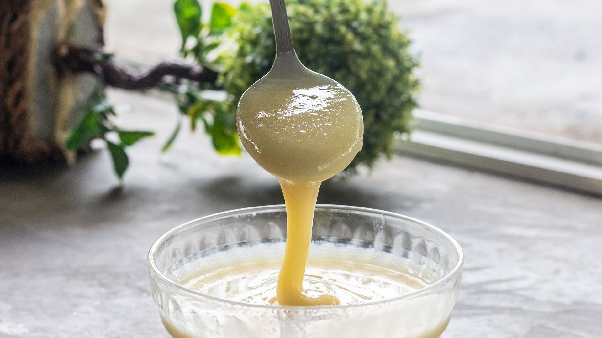 Homemade Condensed Milk