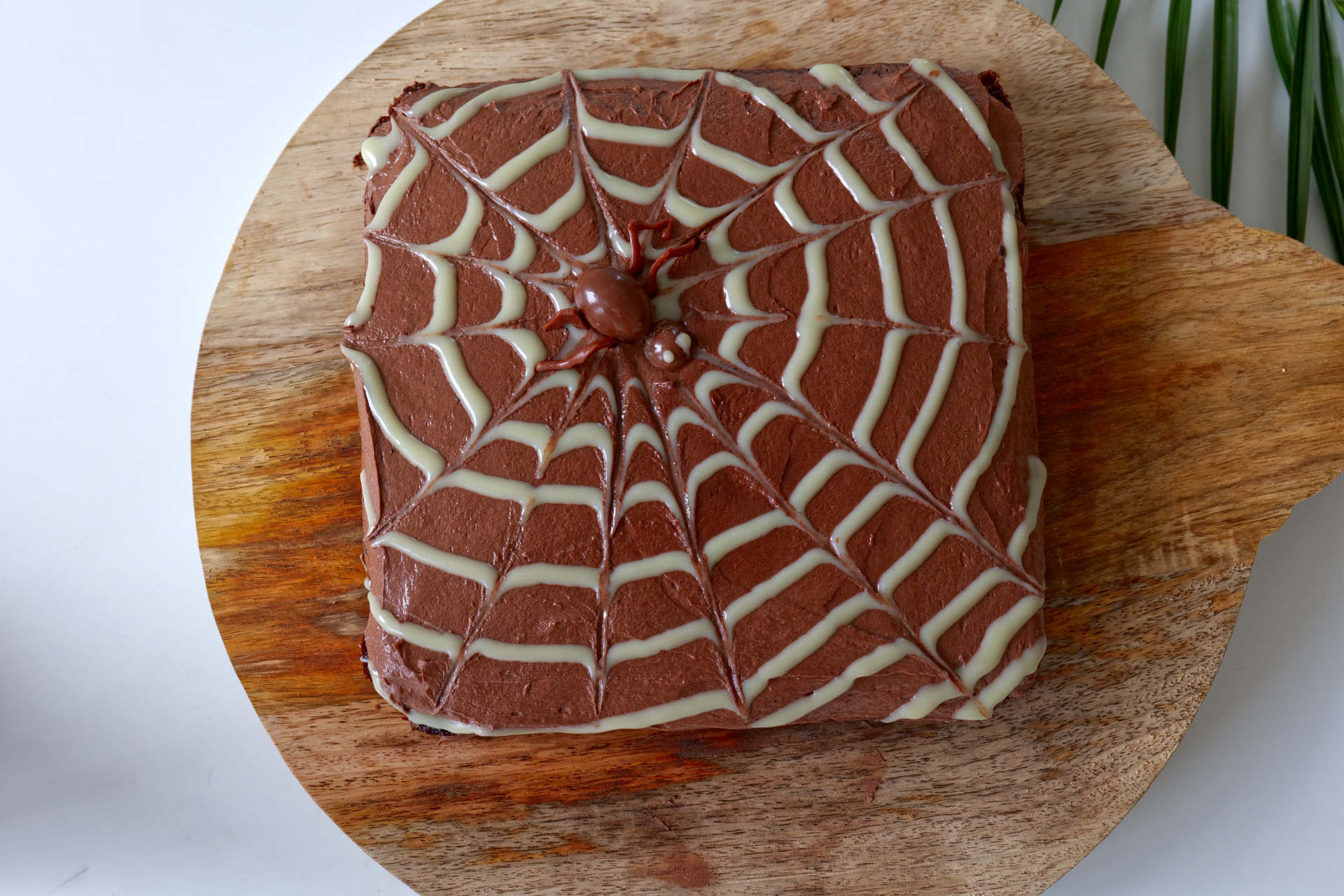 Halloween Spider Web Cake