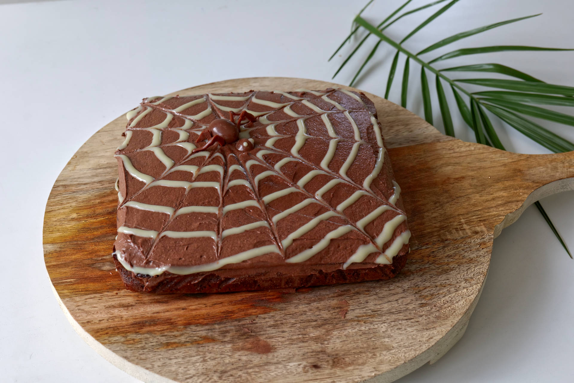 Halloween Spider Web Cake