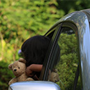 Would you leave your child alone in the car?