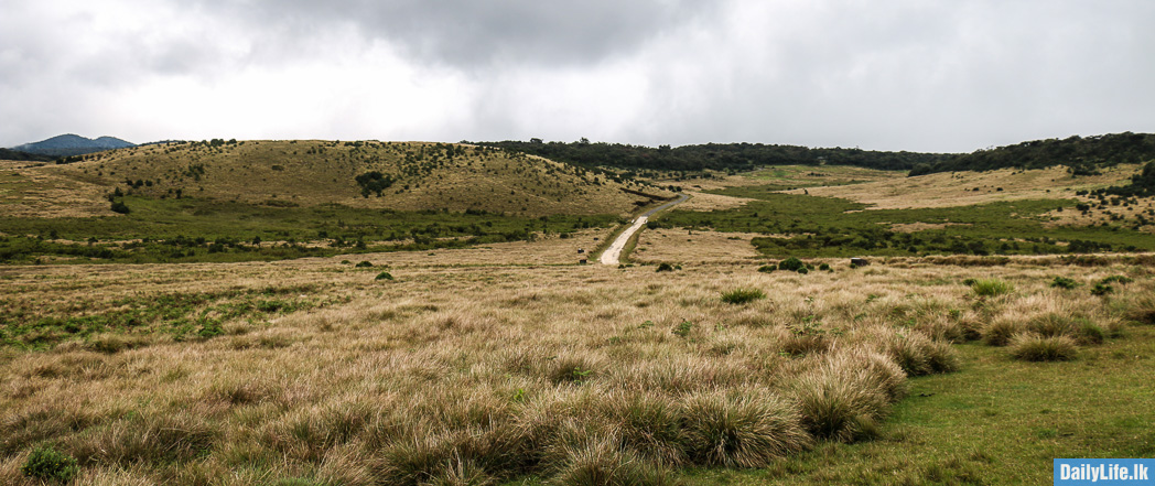 Horton Plains National Park