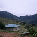 Opening our window to the natural world...