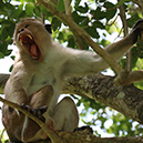 Here and There in Sri Lanka (Part 02)