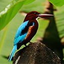 Here and There in Sri Lanka (Part 01)