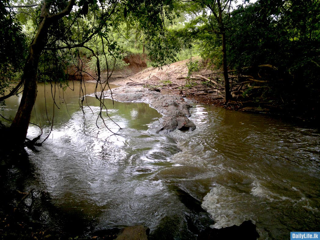 Natural beauty at Udawalawe
