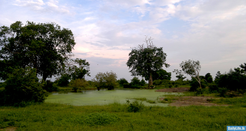 Udawalawe natural beauty