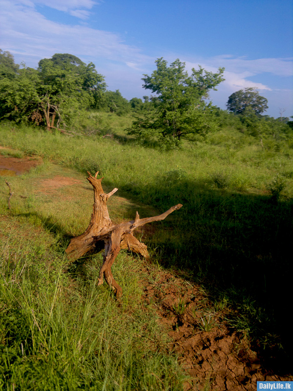 Udawalawe natural beauty