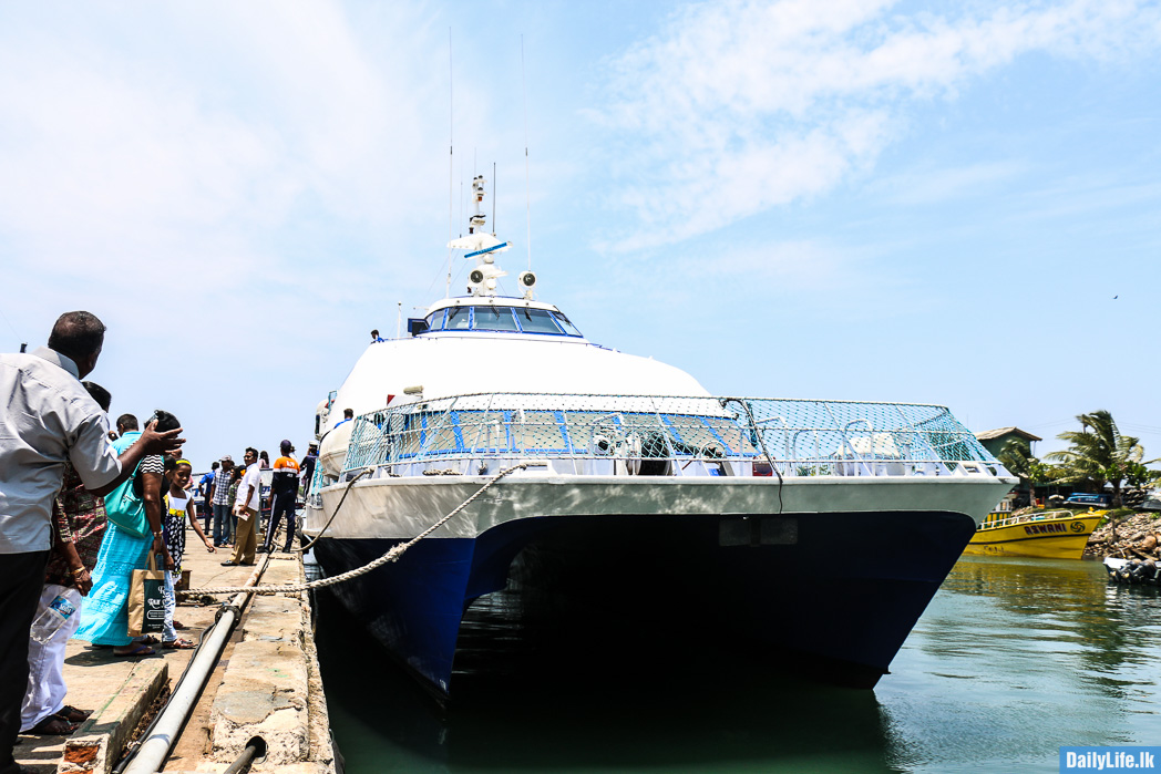 Navy Whale Watching cruise