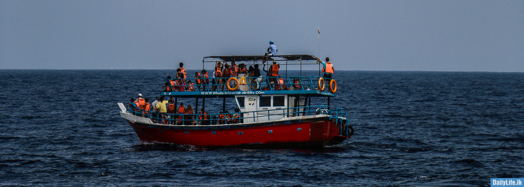 Whale watching boat